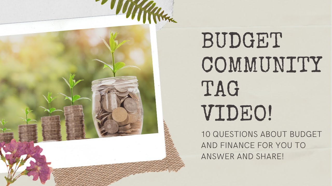 BUDGET COMMUNITY TAG VIDEO! | 10 BUDGET AND FINANCE QUESTIONS | How to Budget | Budgeting Questions