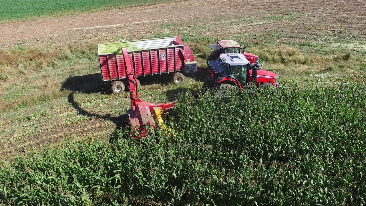 Chopping Corn 2017