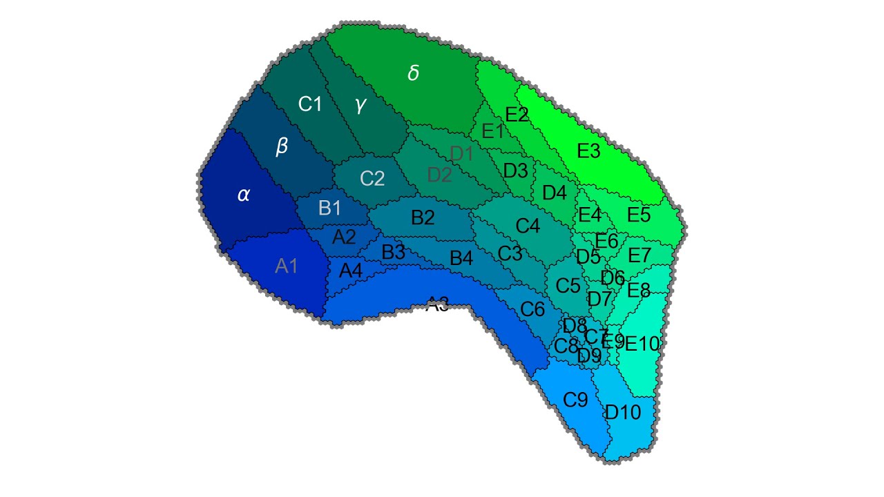 Interaction parameter noise leads to topological defects