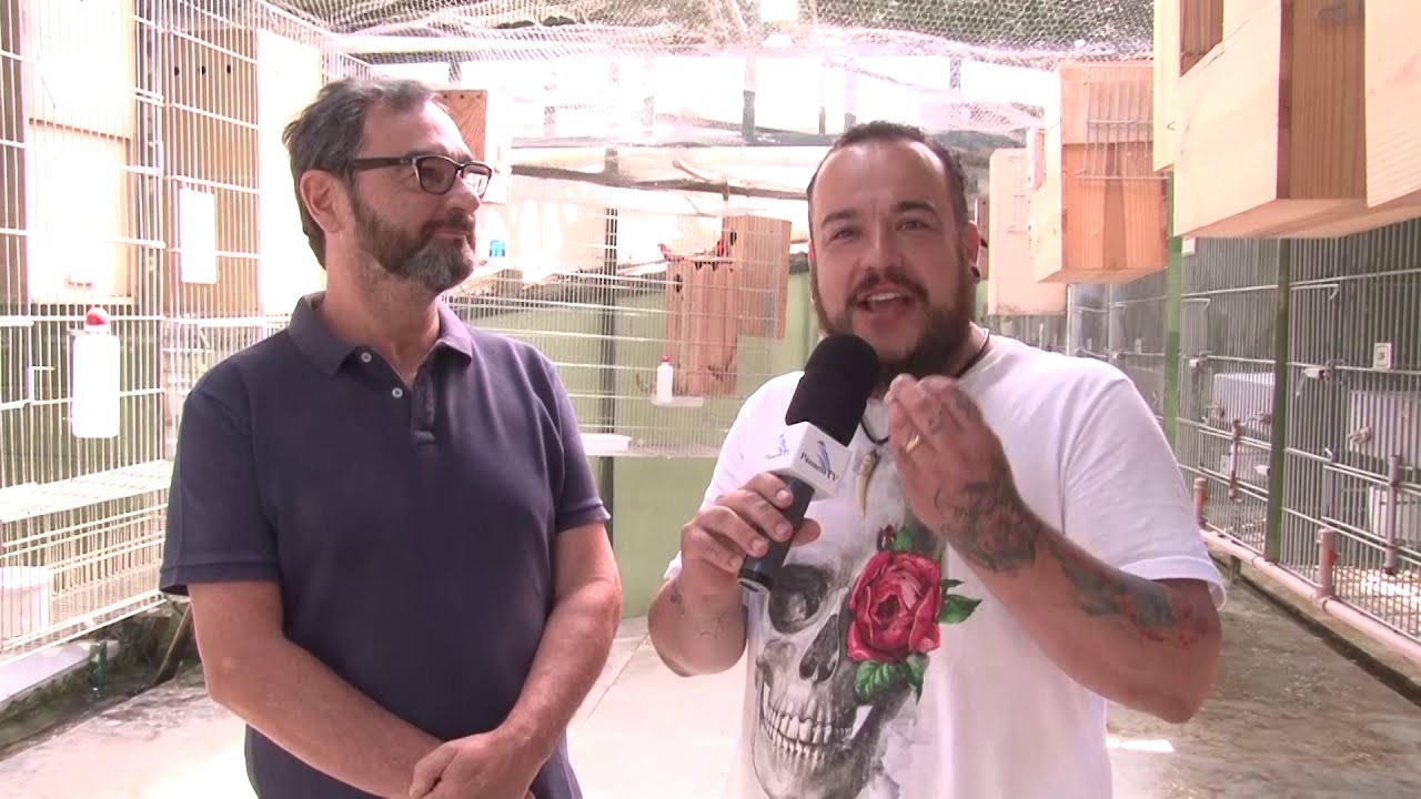 CONHECENDO CRIADORES | CRIADOURO VENTURA | PÁSSAROS TV
