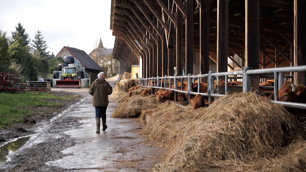 Paroles d'agriculteur : La Scea des Deux Leyrennes, une mutation mesur&eacute;e et responsable