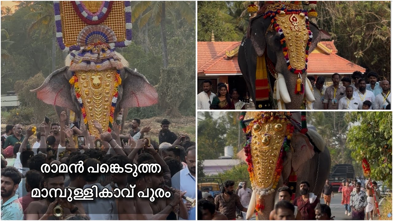 രാമൻ പങ്കെടുത്ത മാമ്പുള്ളികാവ് പൂരം 😍