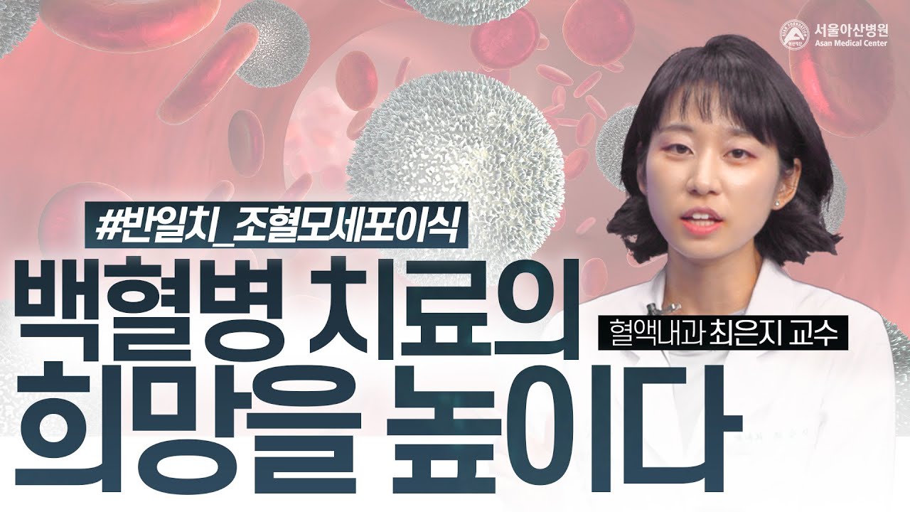 반일치 조혈모세포이식, 조혈모세포 공여자를 찾기 어려운 백혈병 환자에게 희망을 높입니다 | 암행의사