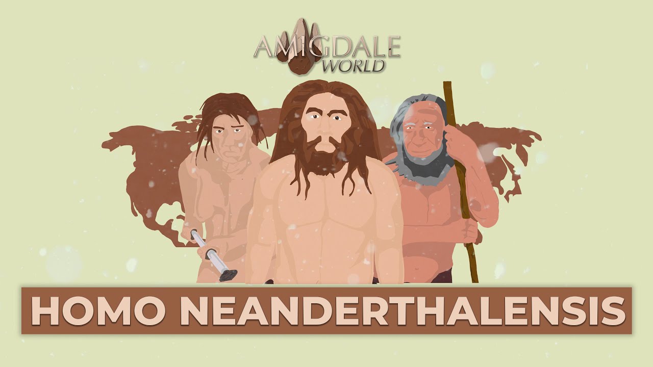 Homo neanderthalensis