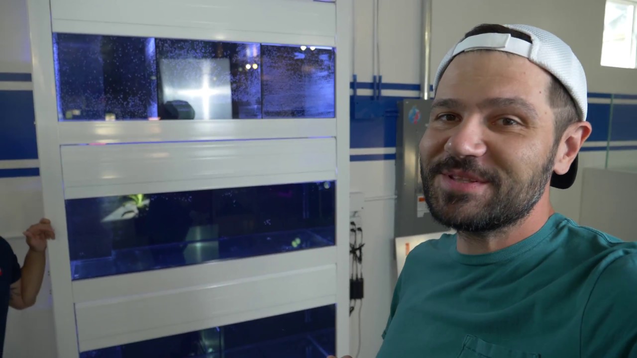 Vlog 11: Setting Up The FISH System from Mode Aquariums