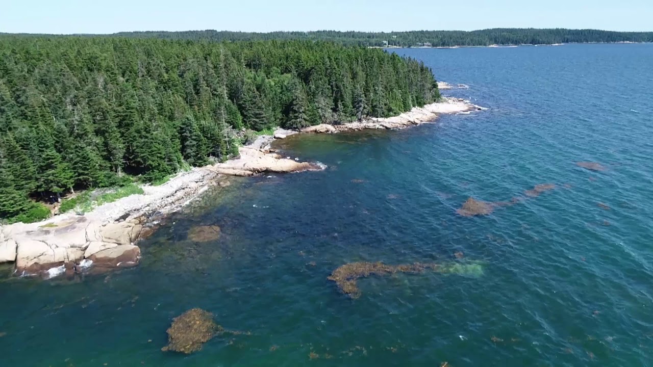 Waterfront Prime Land for sale - Beals Island on the Bold Coast in Downeast Maine