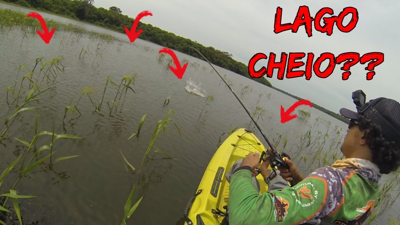 LAGO CHEIO, E AGORA?? DICAS DE COMPORTAMENTO DOS PEIXES PREDADORES