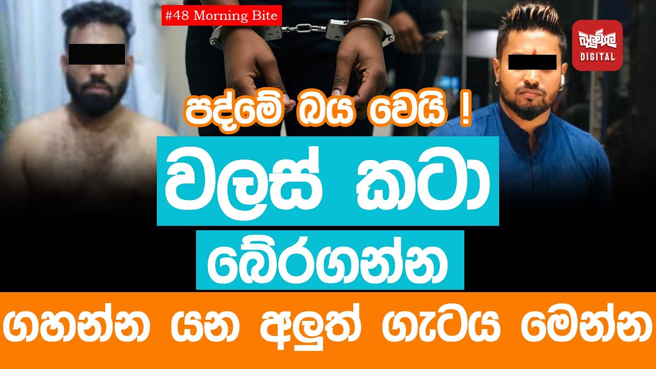 වලස් කටා බේරගන්න ගහන්න යන අලුත් ගැටය මෙන්න