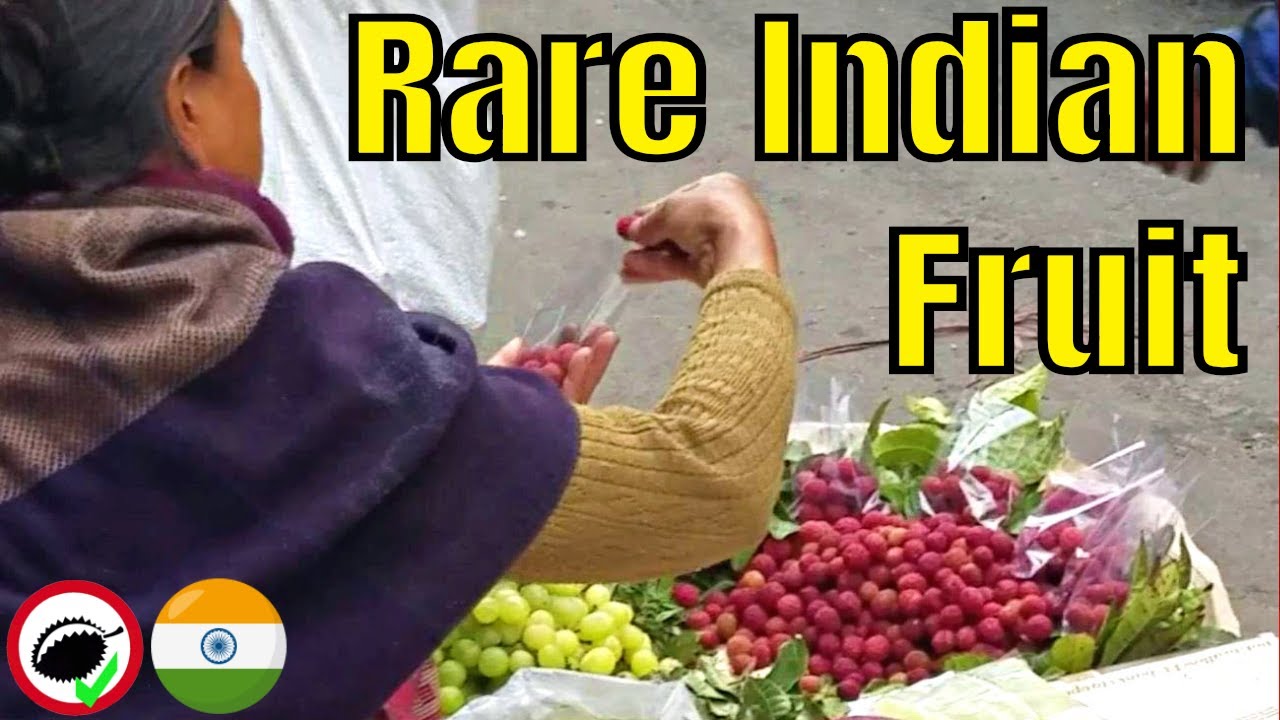 Kaphal Fruit Review (Myrica esculenta) - Weird Fruit Explorer in India - Ep. 311