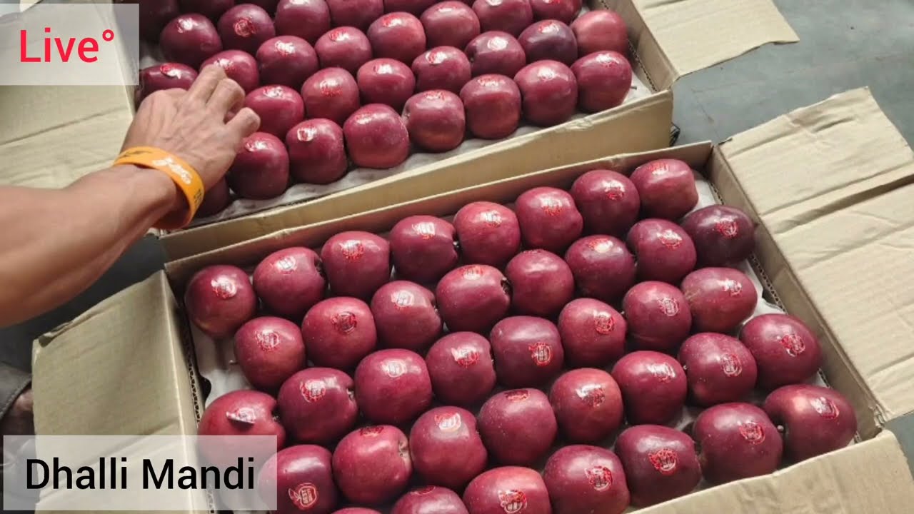 Live: Dhalli Mandi Apple Market Update | Today's Apple Auction | Himalayanfarming | Live Update