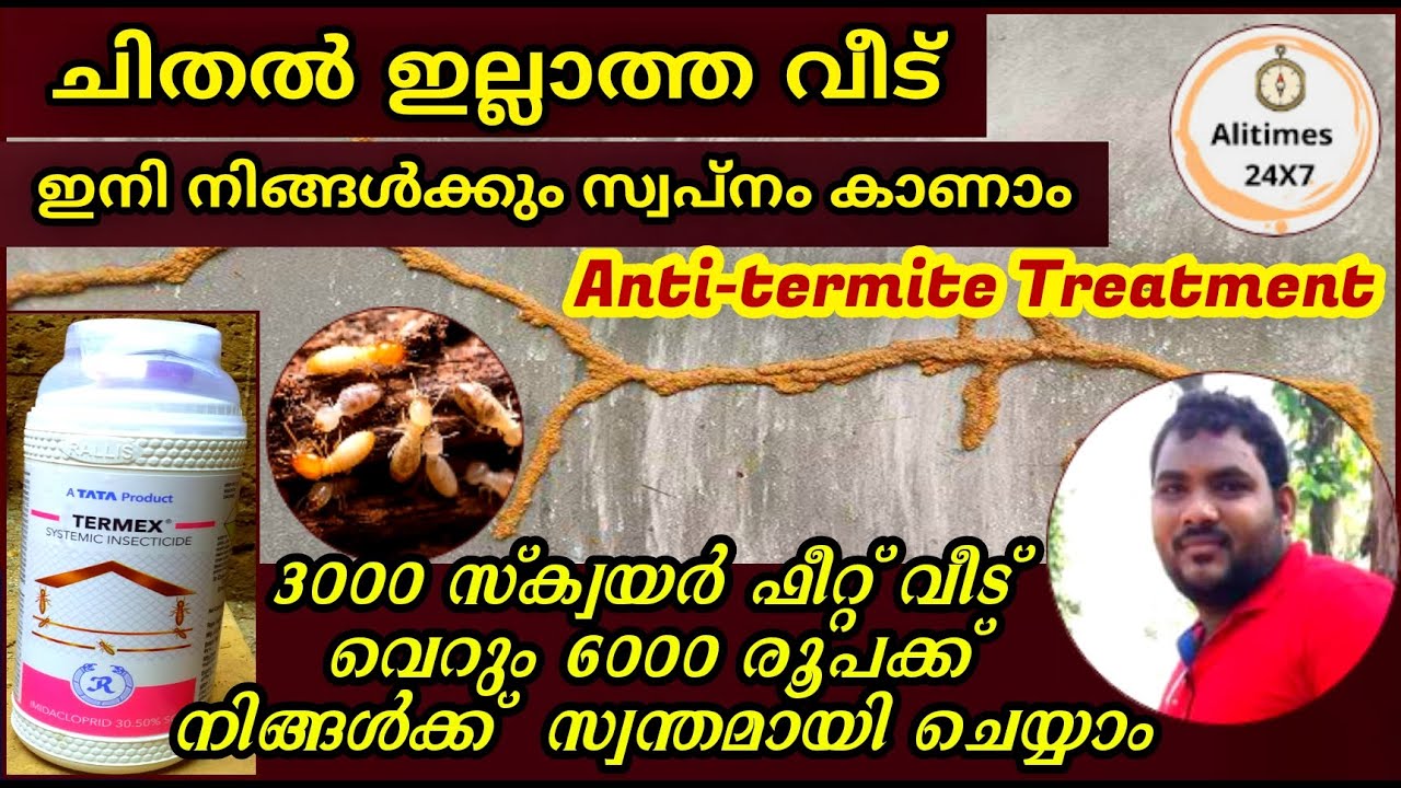 PEST CONTROL TREATMENT ||ചിതൽ ശല്യം വീടിൽനിന്നും എങ്ങനെ  ഒഴിവക്കാം