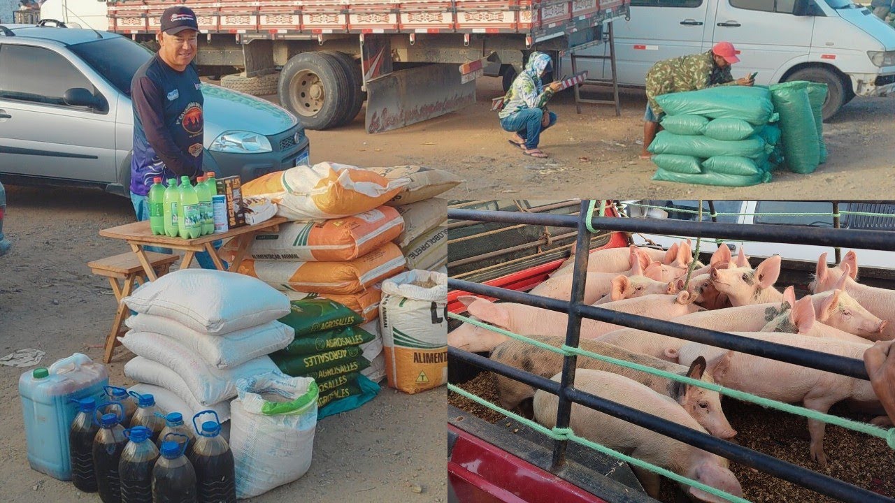 Feira da ração e porco Posto Alto da Serra 15/03/26