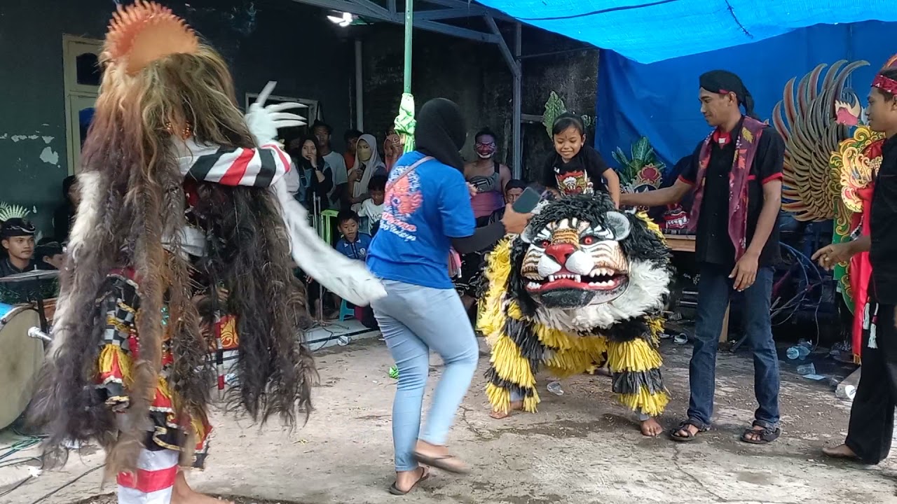 JARANAN BUTO || LAKSONO PUTRO BUDOYO || TARI RANGDE VS MACAN || live cluring kepatihan