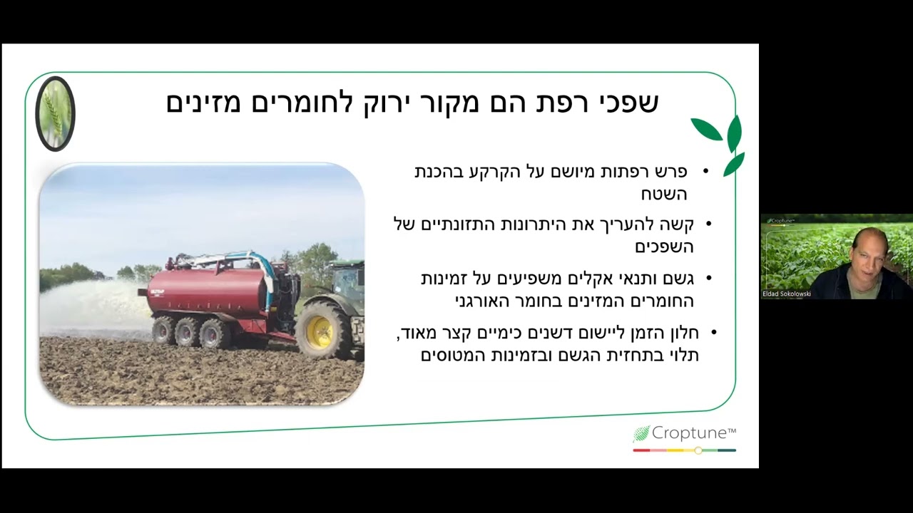גד