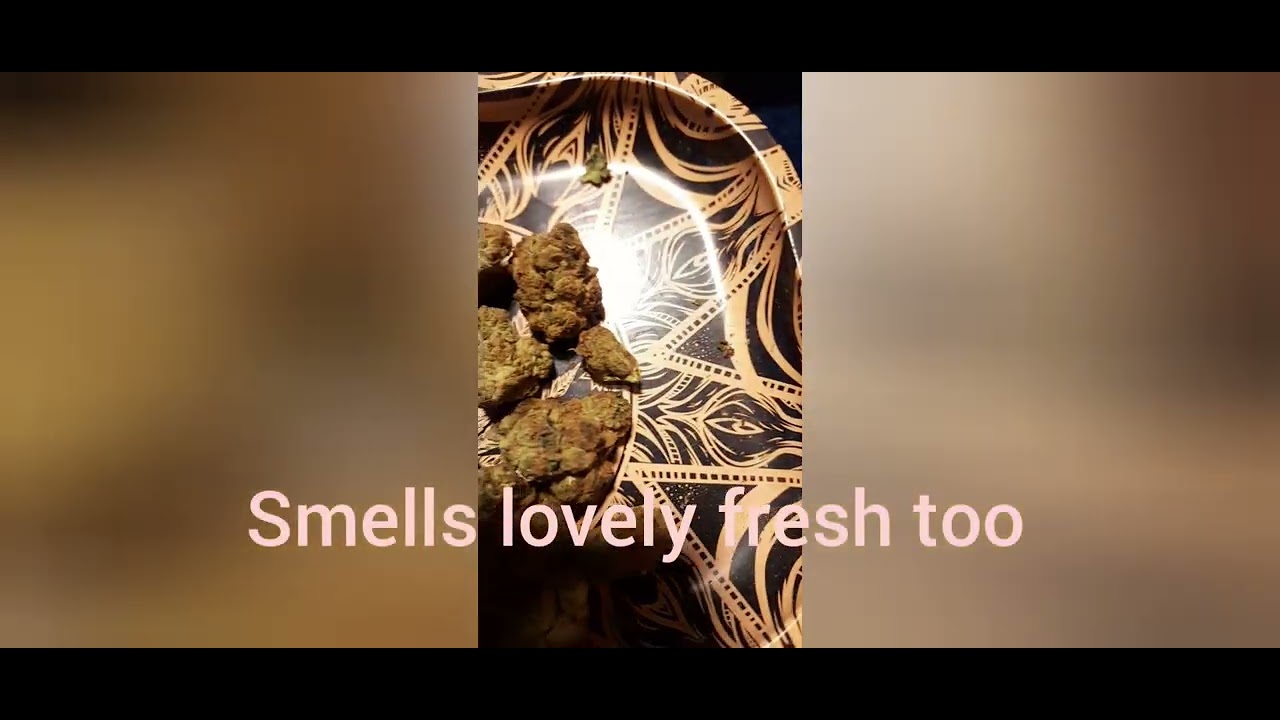 T25 WEDDING CAKE STRAIN REVIEW FROM CB1 MEDICAL