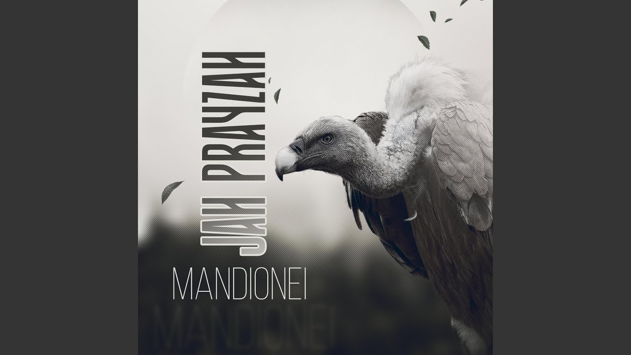Mandionei