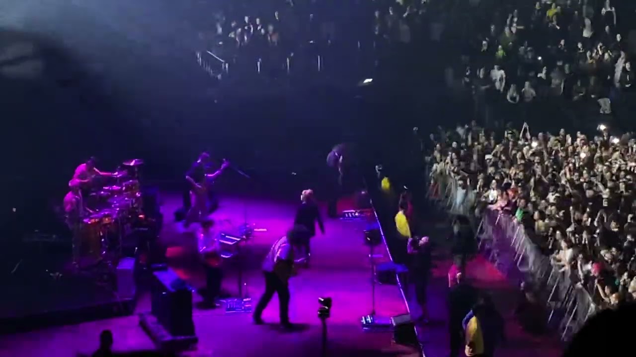 Paramore - All I Wanted (Live @ O2 Arena)