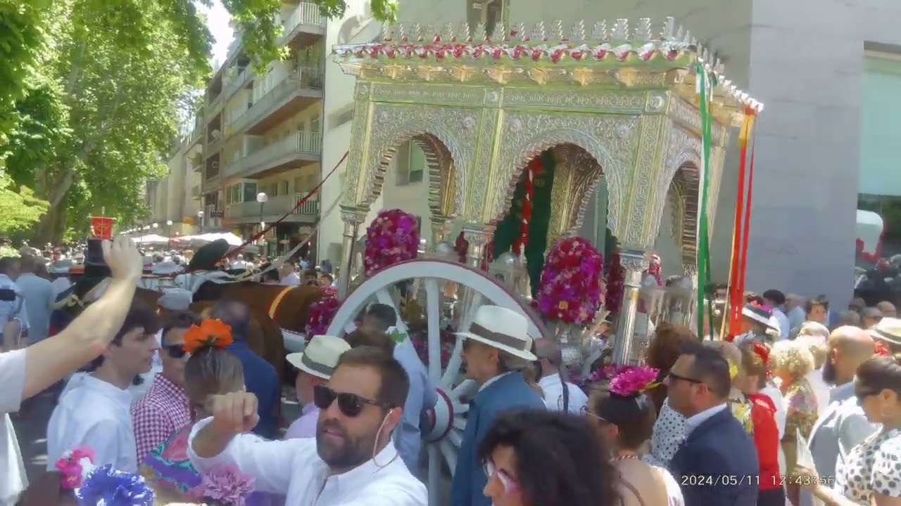🎬 🌹 ROMERÍA del ROCÍO 🌹✨ GRANADA 2024 ✨ #rocio #romeria #granada #2024