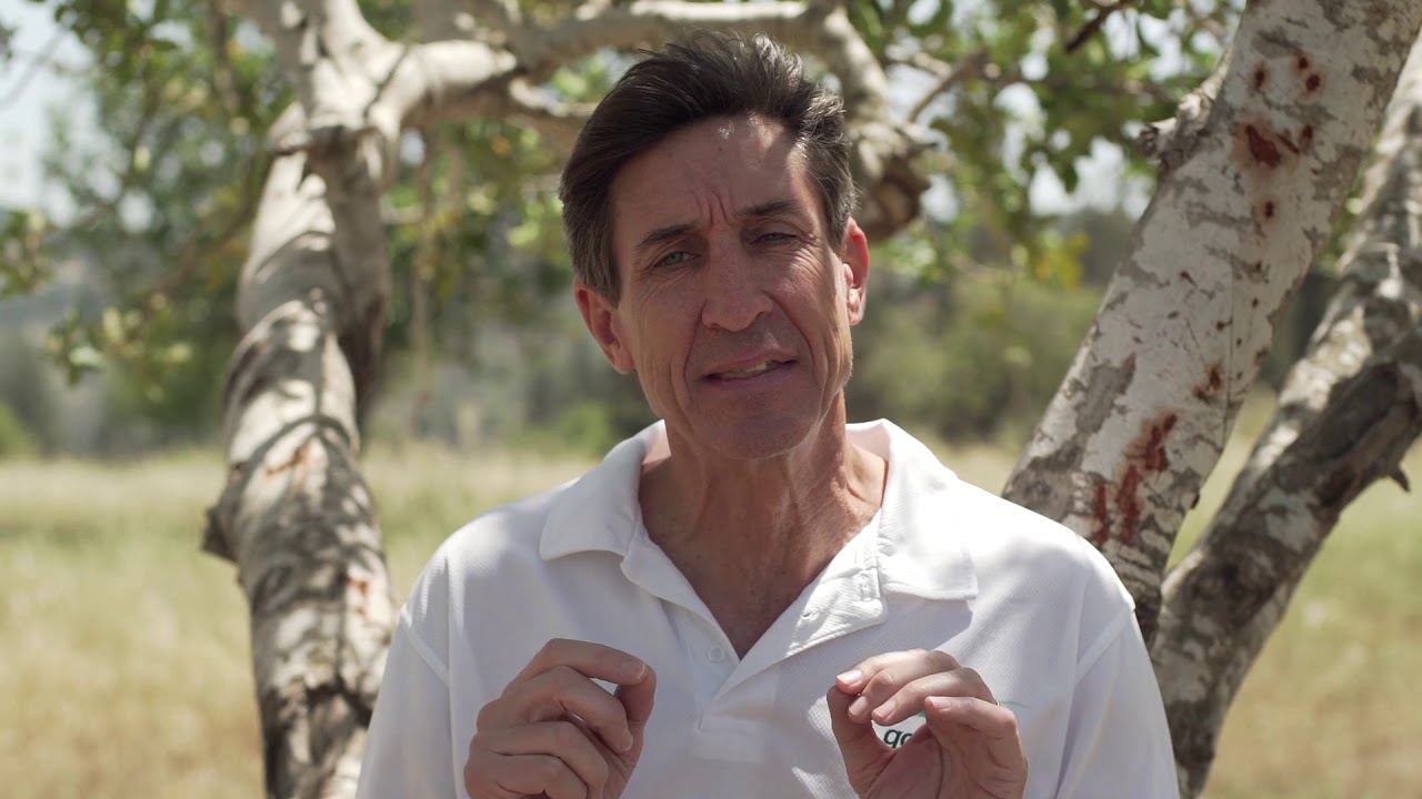Introduction to the Secrets of How to Go Beyond with Glenn Cohen