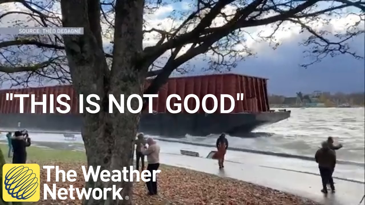 'This is not good at all,' barge runs aground in Vancouver amid storm