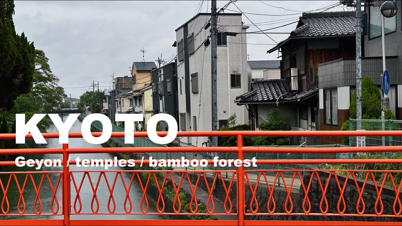 KYOTO | VLOG | Фантастическая красота 