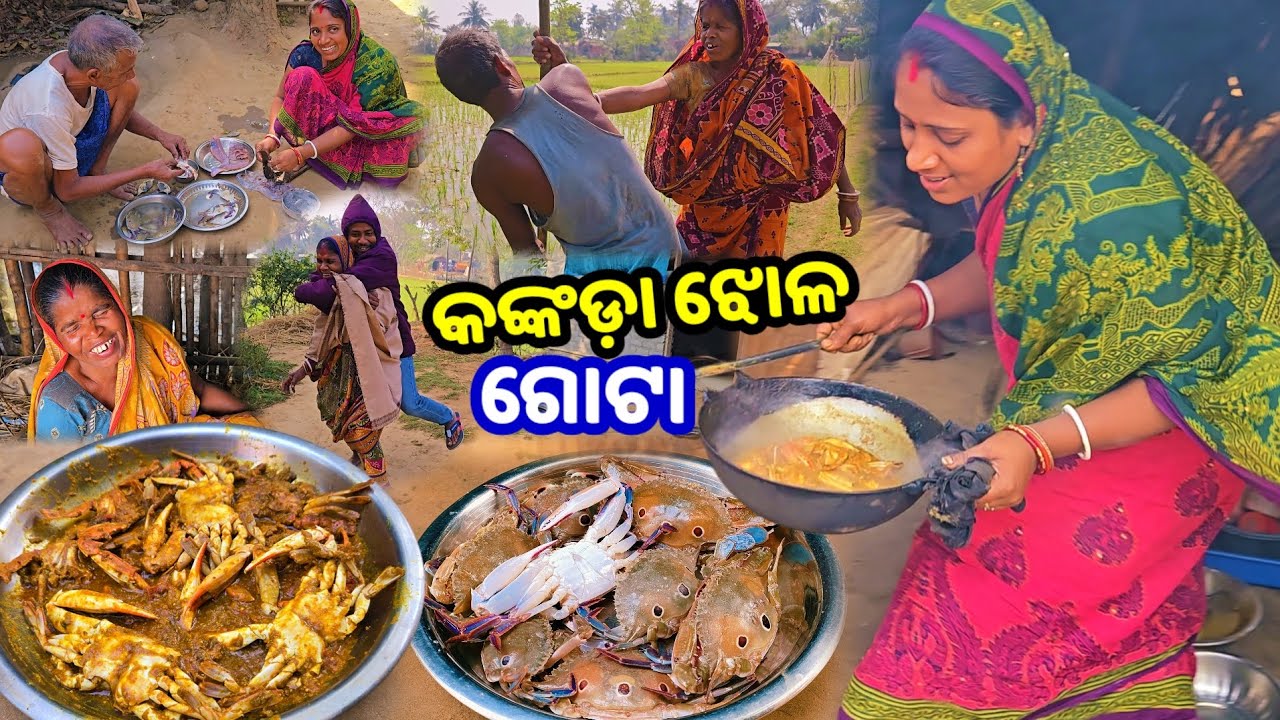 ବହୁତ ଦିନ ପରେ ହେଲା ଗୋଟା କଙ୍କଡ଼ା ଝୋଳ || Odia Family Vlog || Tapan Sanju Family Vlog