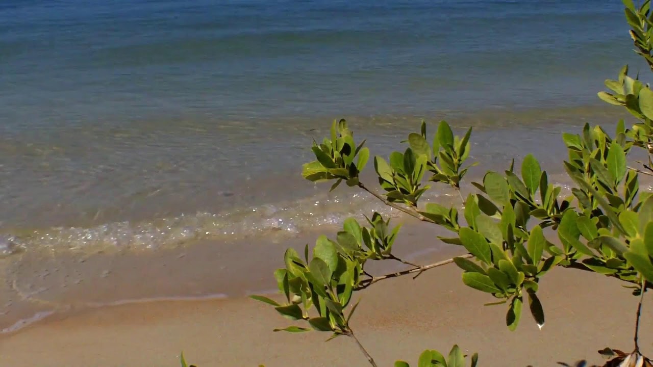 REFRESHING MOMENTS BY THE BEACH