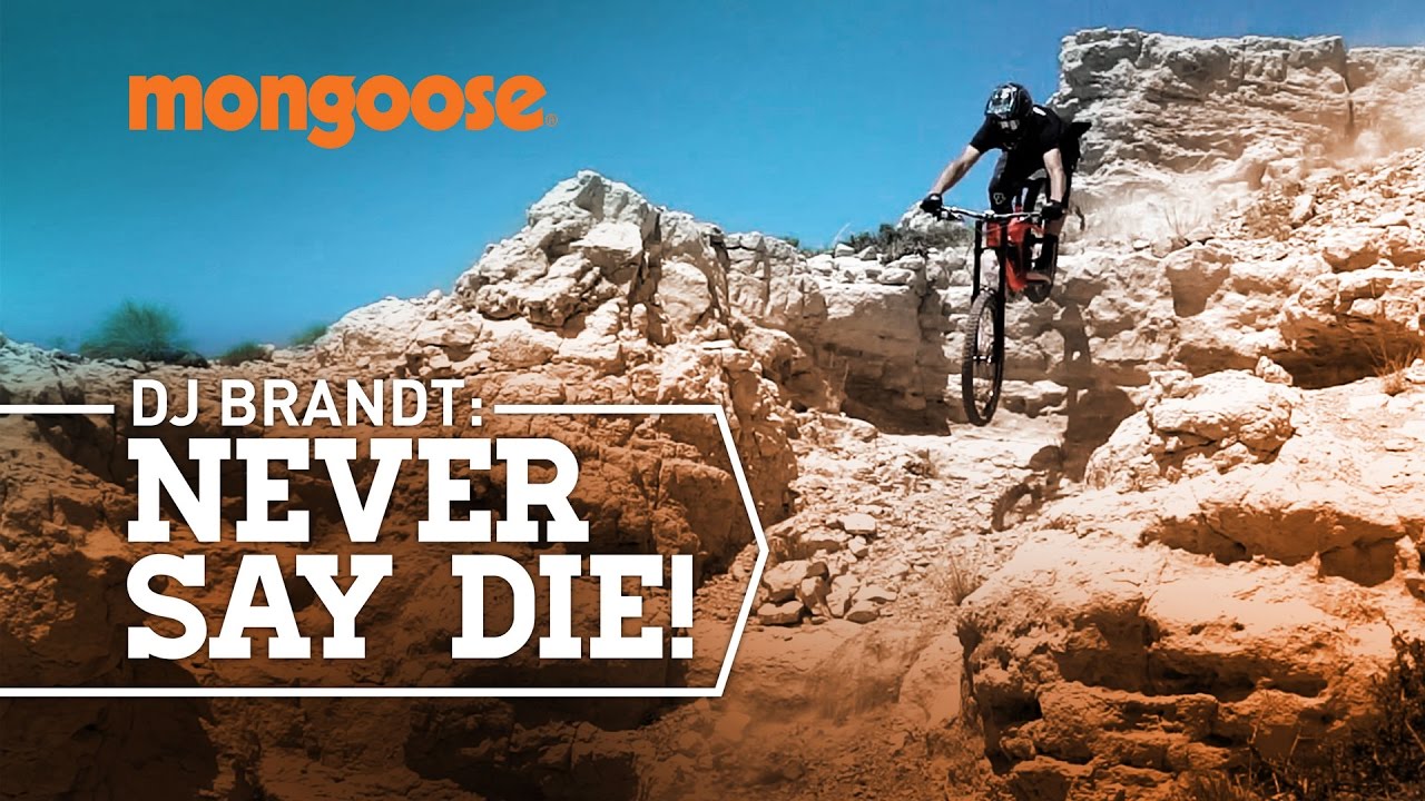 DJ Brandt - Never Say Die!