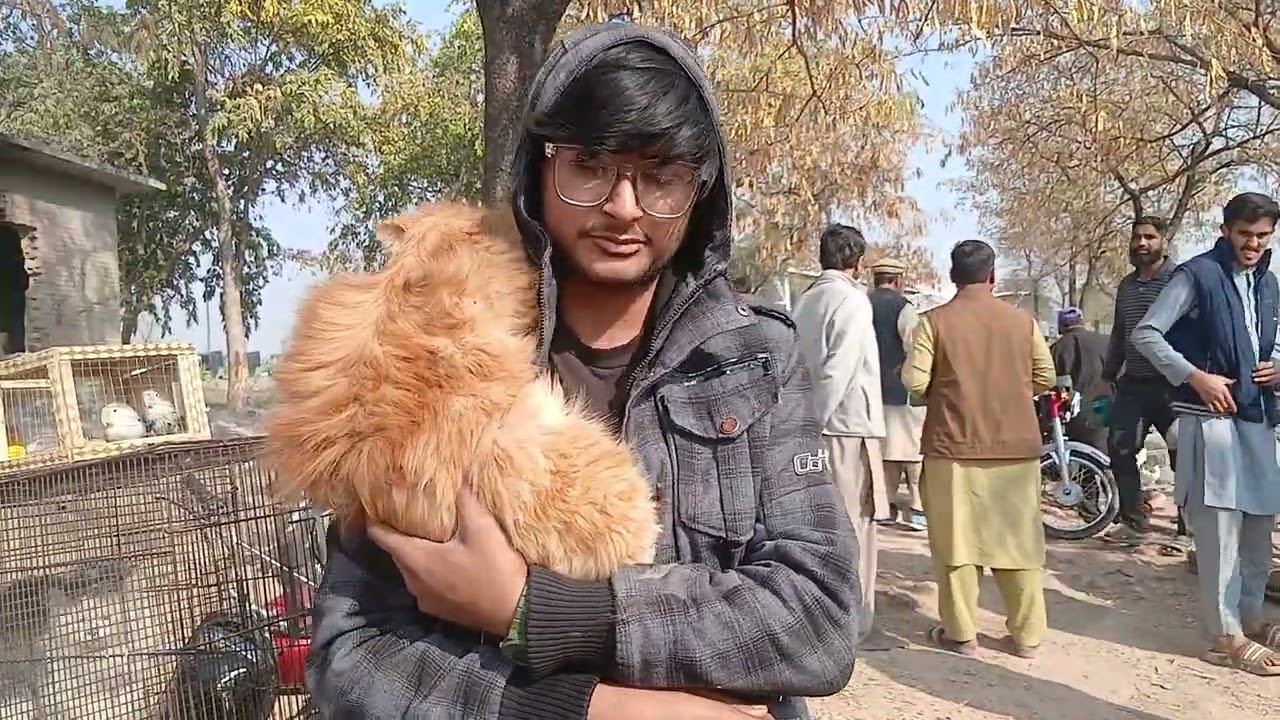 Rawalpindi birds market 22 February 2026