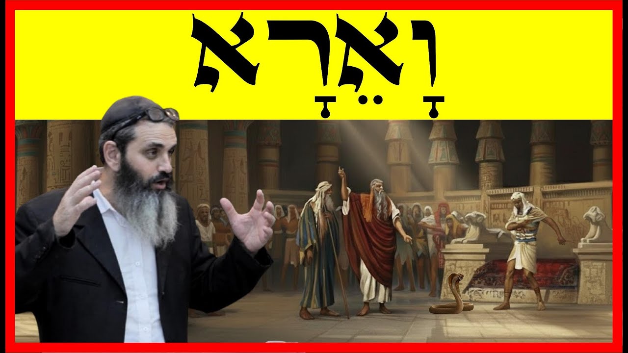 וארא - פרשת השבוע וארא - 🩸🐸🐅🐊🧟‍♂️☠️ - הרב אהרון זאב שצמן