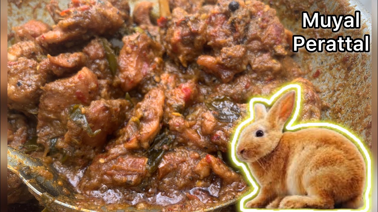 Rabbit Roast |Muyal Perattal Recipes |Rabbit Meat| Rabbit Curry Village style | Rabbit |muyal kari