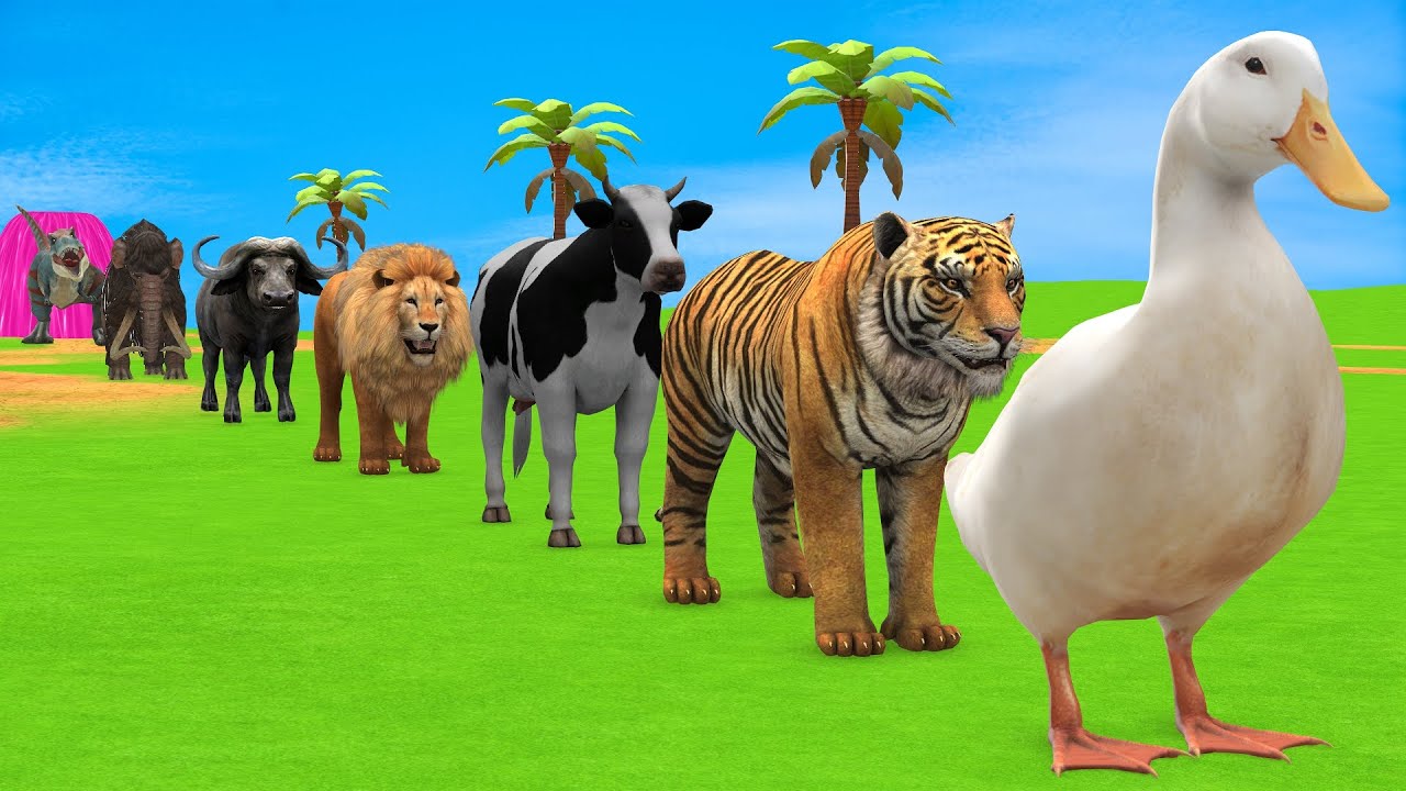 Long Slide Game with Cow Elephant Gorilla Hippopotamus Tiger 3d Animal Game Funny 3d Animals