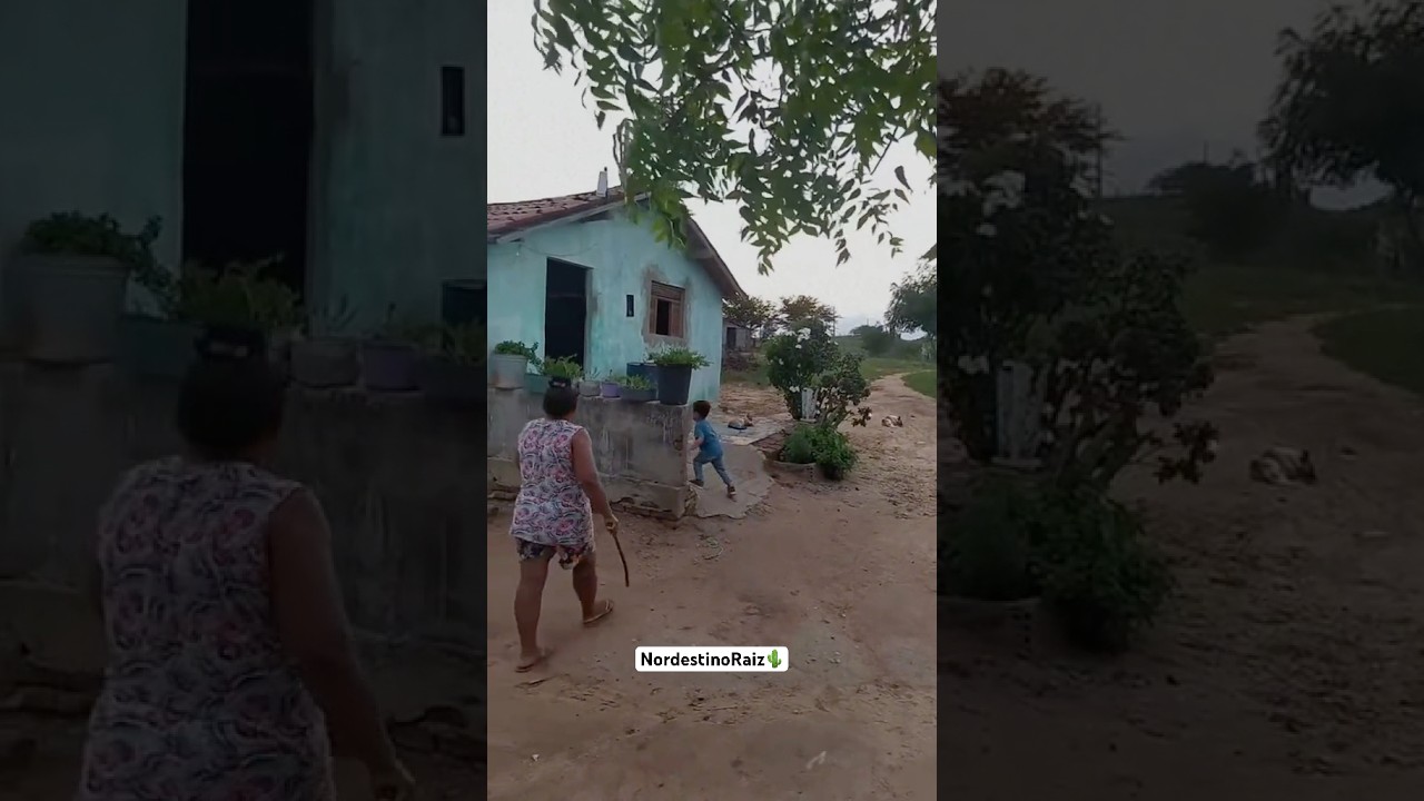 Um dia voc&ecirc; s&oacute; vai existir na mem&oacute;ria de algumas pessoas, reflex&atilde;o🌵