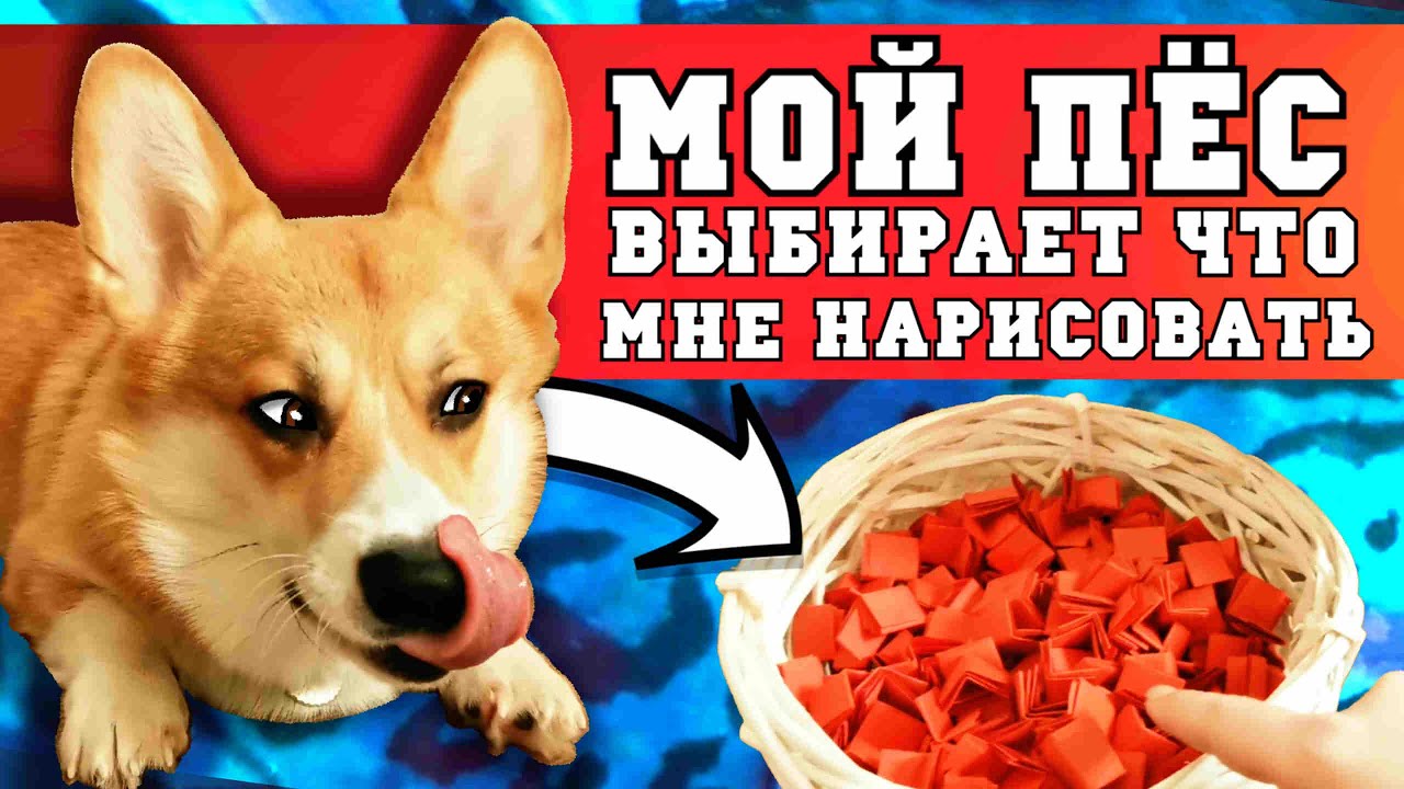 ПЁС УПРАВЛЯЕТ МОИМ РИСУНКОМ (RCD)