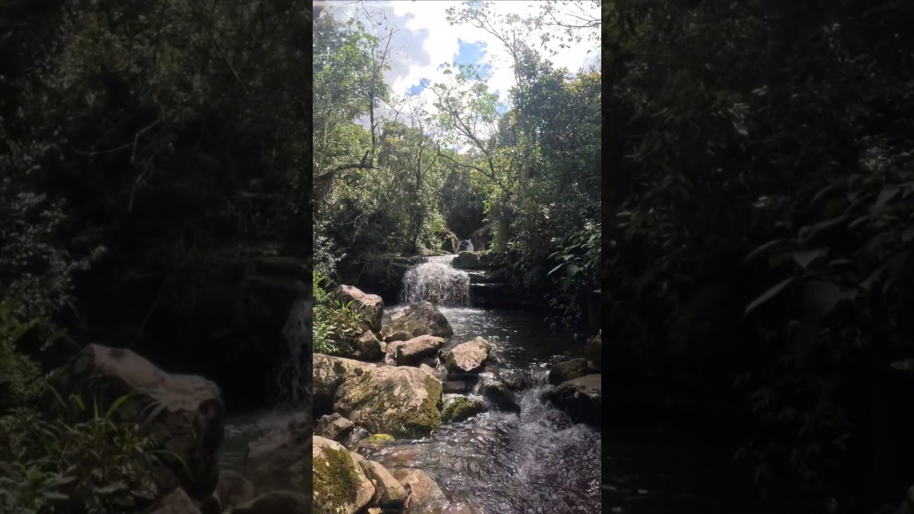 Chapada dos Vaga-lumes, Po&ccedil;o das Andorinhas e Po&ccedil;o dos Morcegos