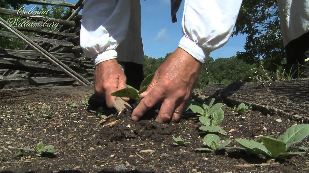 Историческое земледелие