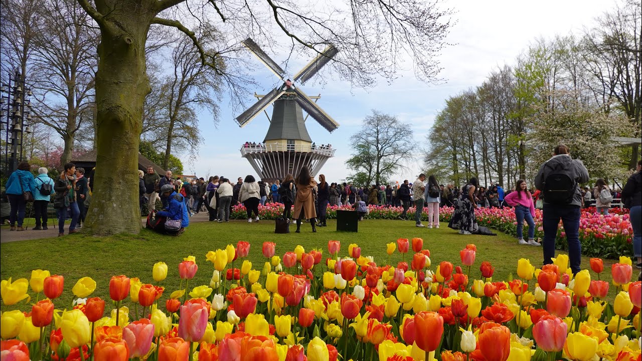 Keukenhof 2023