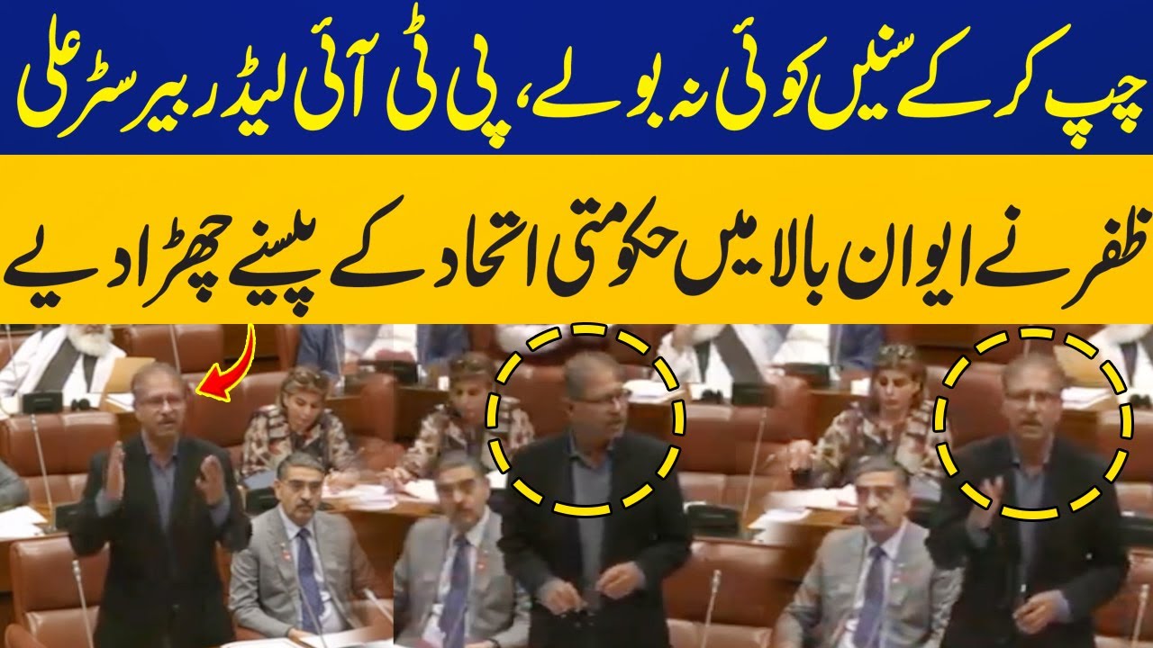 Barrister Ali Zafar Speech in the Senate | PTI Leader & 27th Amendment Details Exposed | Capital TV