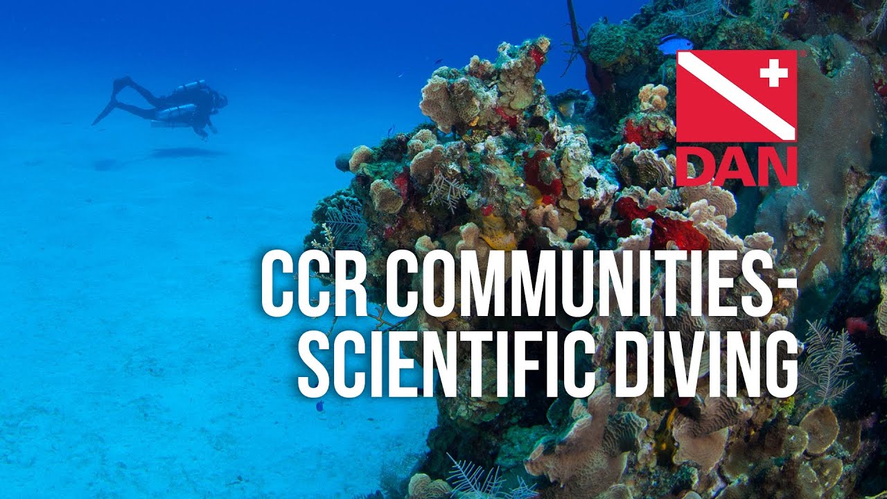 RF3.0 - CCR Communities - Scientific Diving
