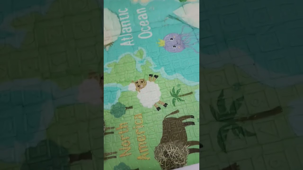 Pok Ame ame kucing lucu 