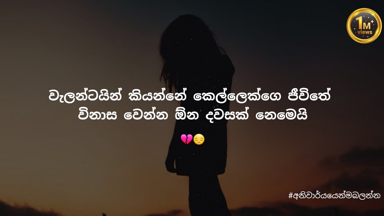 වැලන්ටයින් කියන්නේ කෙල්ලෙක්ගේ ජීවිතේ විනාස වෙන්න ඕනේ දවසක් නෙමෙයි 💔 #අනිවාර්යෙන්මබලන්න