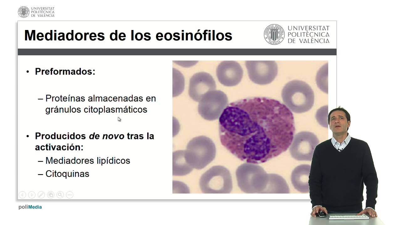 Eosinófilos |  | UPV