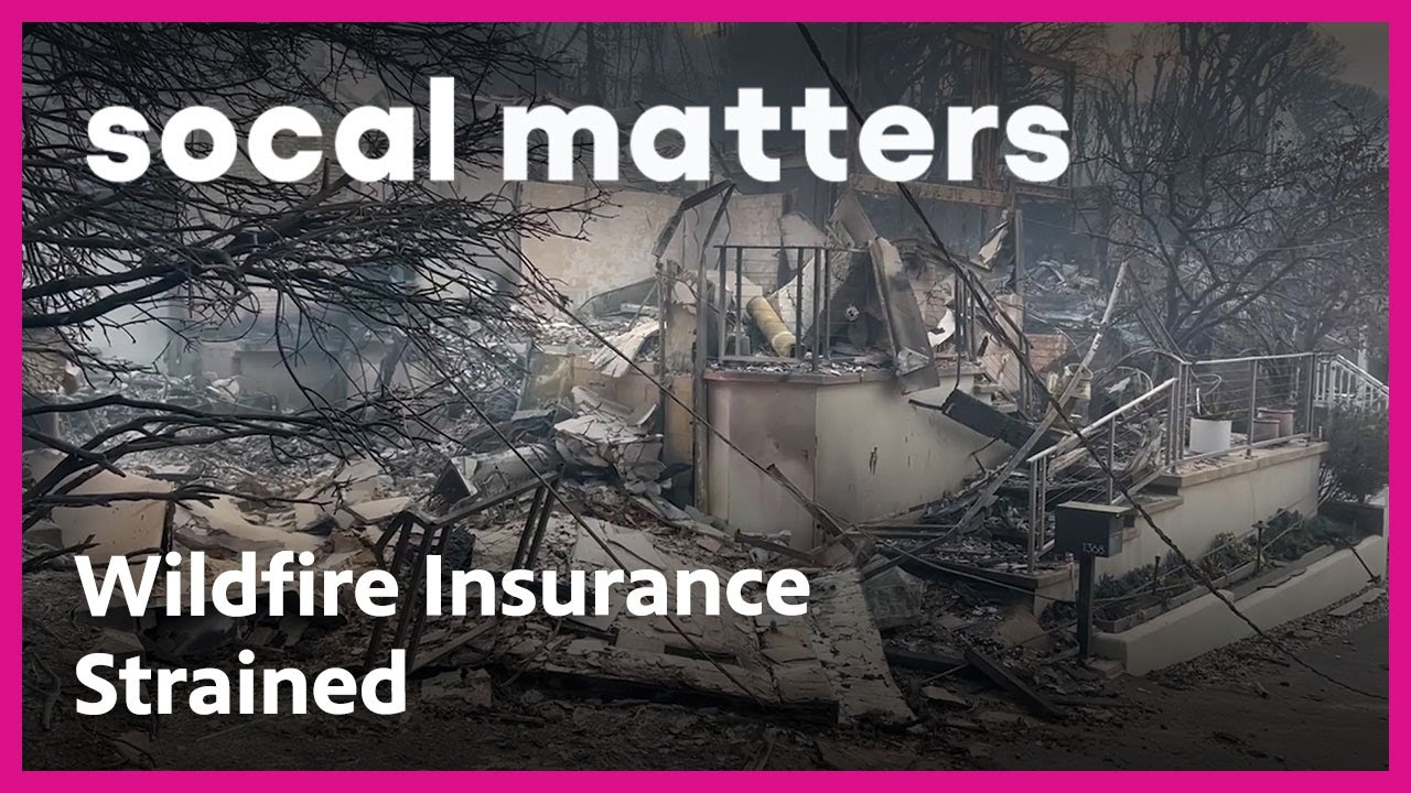 California's FAIR Plan Strained by Wildfires | SoCal Matters | PBS SoCal