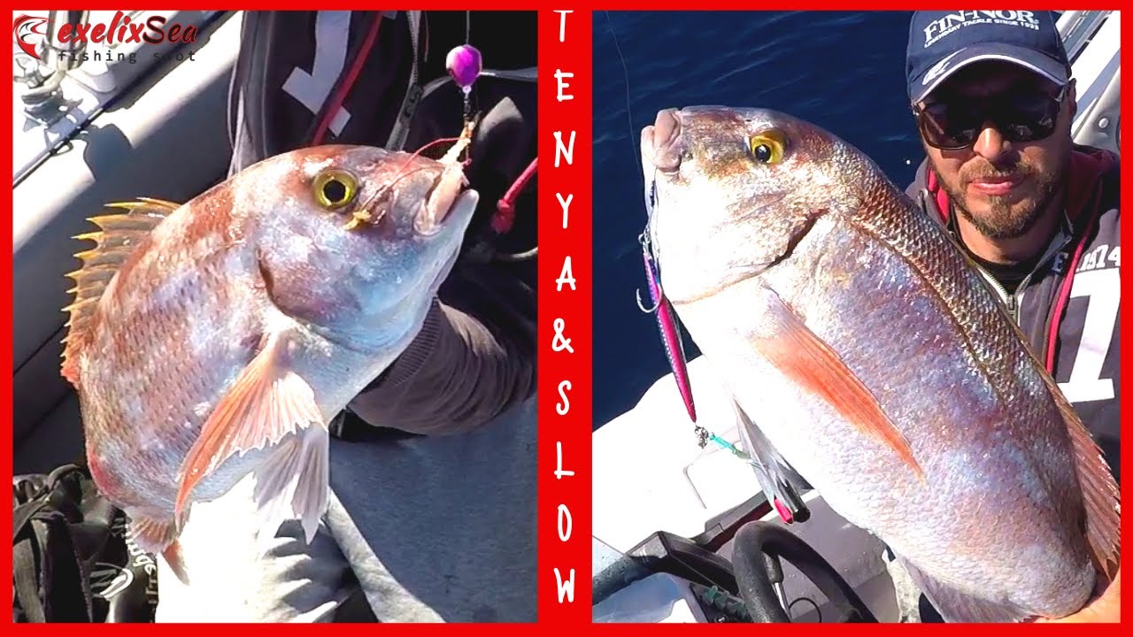 Ψάρεμα με Hitotsu Tenya🦐 και Slow Jigging!!🎣