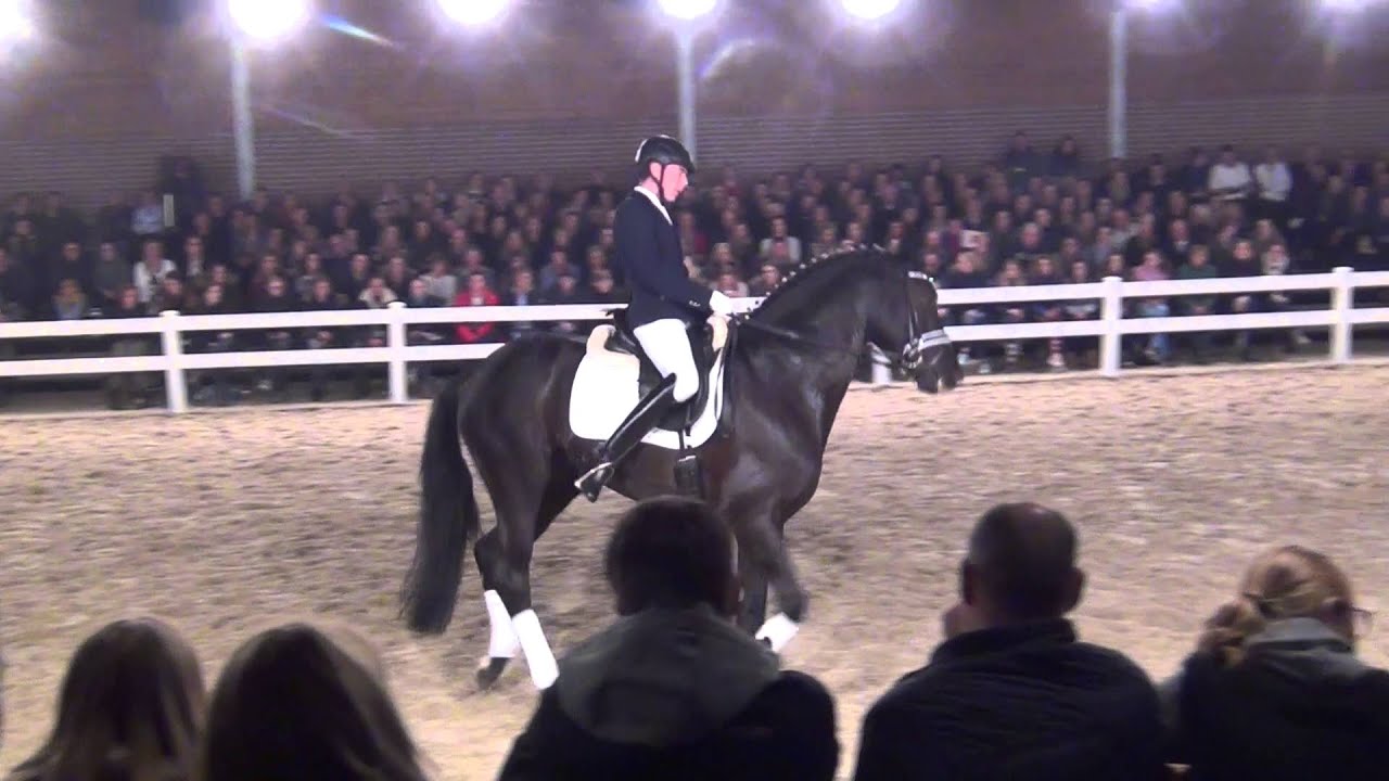 Schwarzgold ( 2009 - TRAK ) : Imperio X Consul