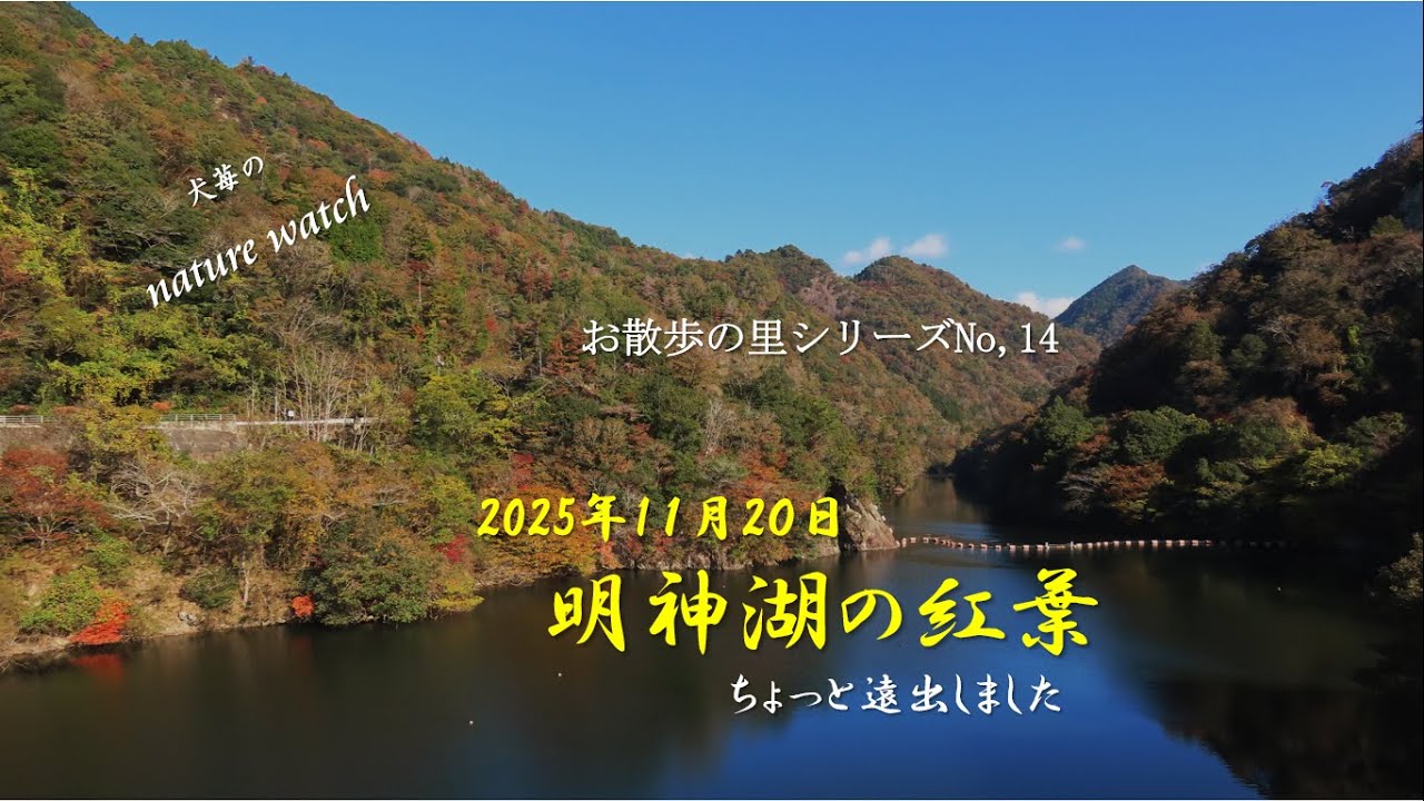 明神湖の紅葉(お散歩の里No14)20251120
