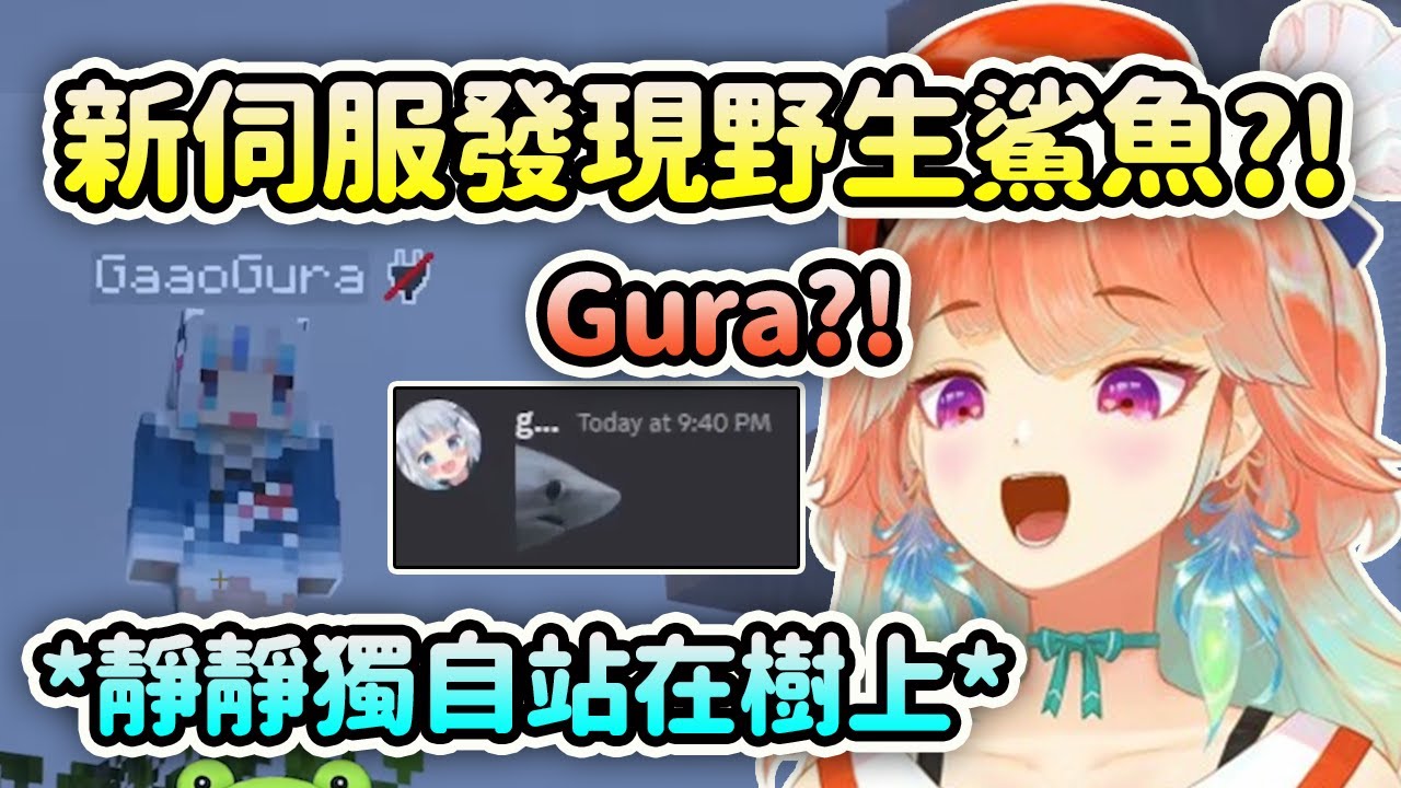 Kiara在新Holo麥塊伺服發現站在樹上的野生Gura?!【Takanashi Kiara】【Hololive 中文】