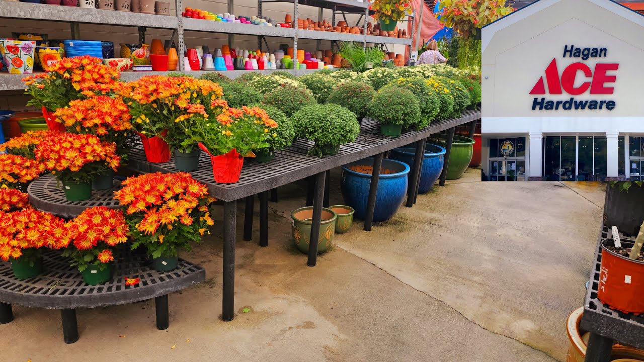 Come Fall Plant Shopping with Me 🌻ACE HARDWARE | Autumn Garden Refresh