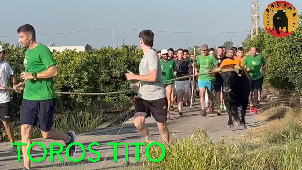 XIII vuelta toro en cuerda Snata Barbara 29 julio 2023   4K