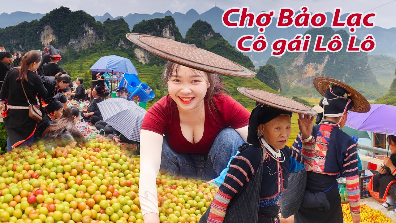 Chợ phiên Bảo Lạc-Được cô gái Lô Lô chọn mận cho ngon từng quả một